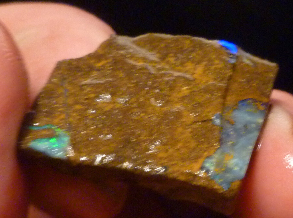 Lot of 2 Australian Queensland Boulder Opal Rough 45 carats