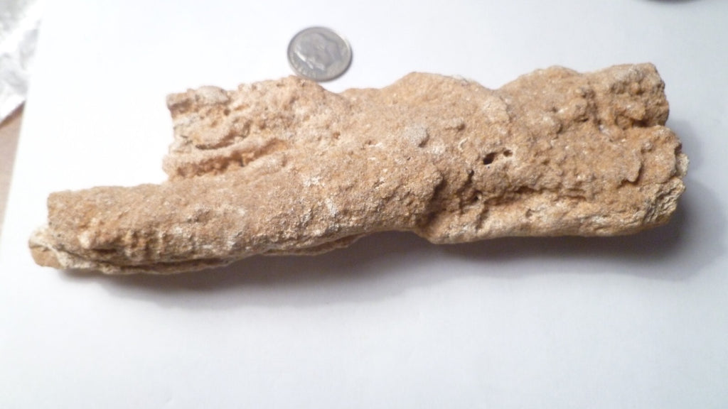 6" Fulgurite lightning fused sand Sahara Fossil Lightning
