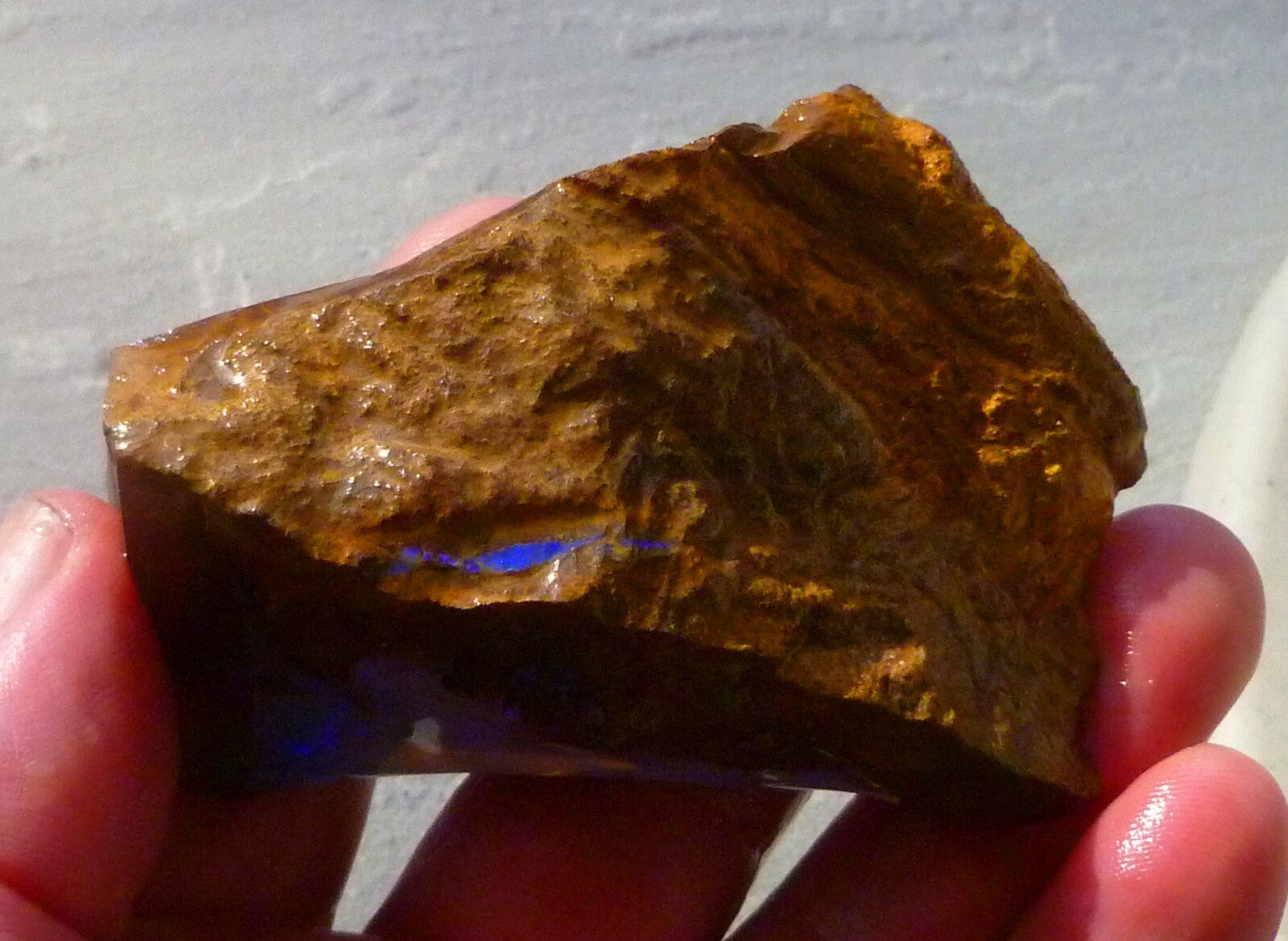 Boulder Opal FIRE & Blue Precious Rough Specimen Australian 700cts