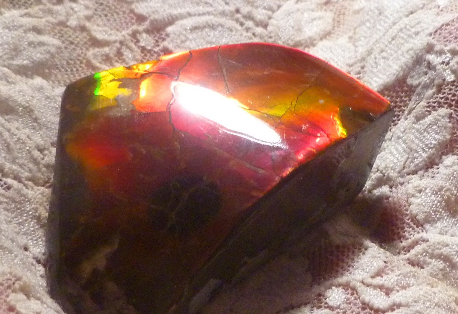 Red Ammolite 57x61x19mm AMMOLITE Ammonite Canada