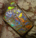 84x52mm Purple, Blue, Green, Red AMMOLITE Ammonite SIX Colors 56.4 grams
