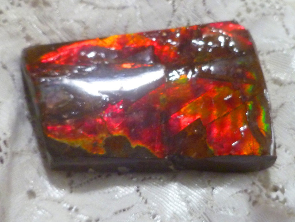 69x47x15mm  RED AMMOLITE gemstone Canada Ammonite