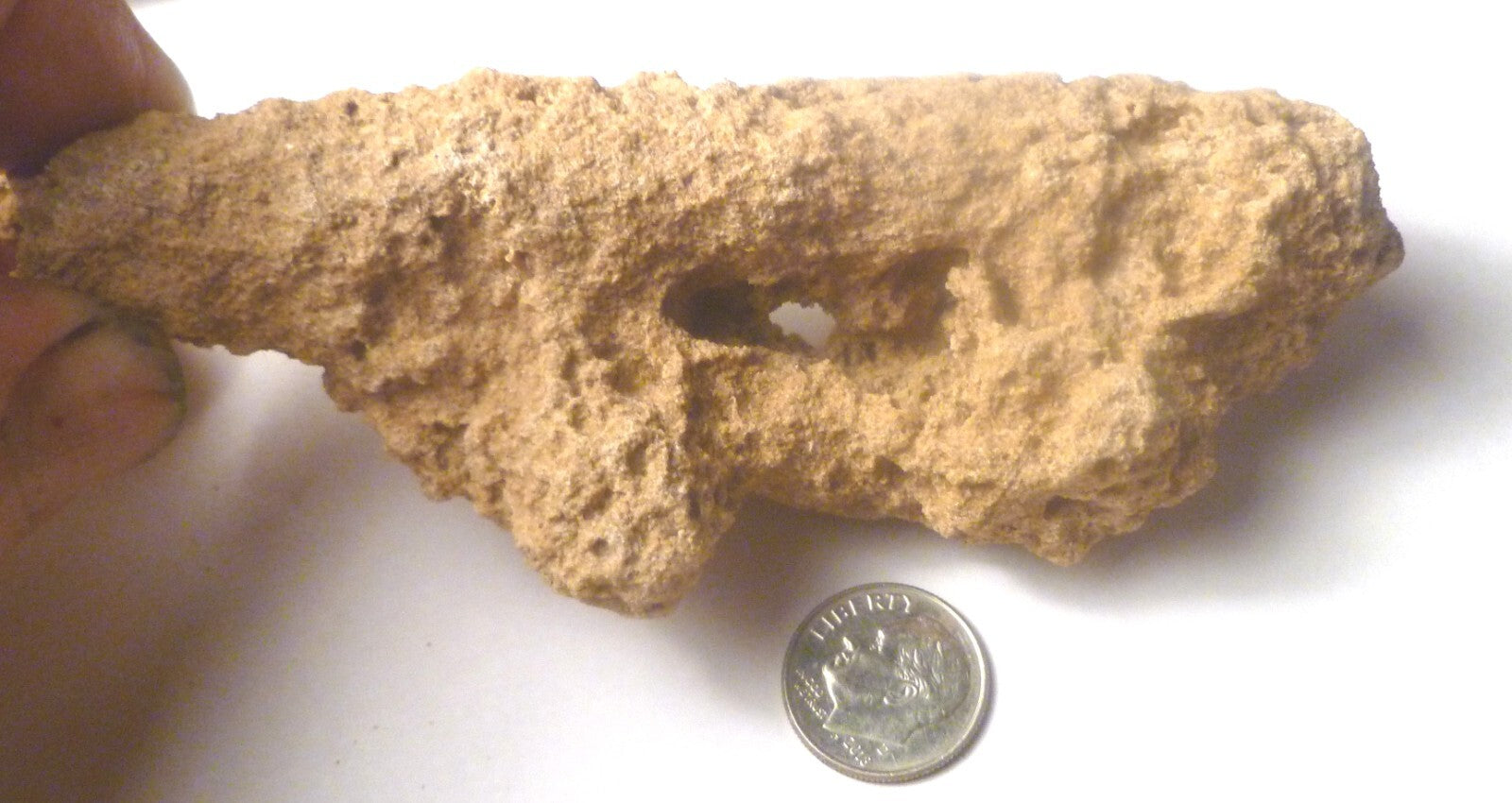 TOTALLY TUBULAR! 4.75" Natural Glass DOUBLE FULGURITE from LIGHTNING 121mm