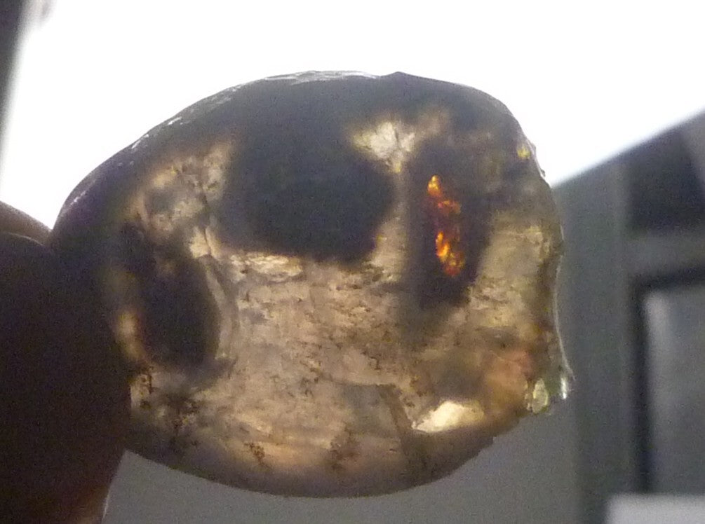 A+ Virgin Valley Precious Opal LOG SLICE Petrified Wood Nevada 20.7 carats!
