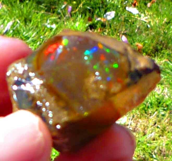 Chocolate Welo Ethiopia Precious Opal 289.4 carats Ethiopian