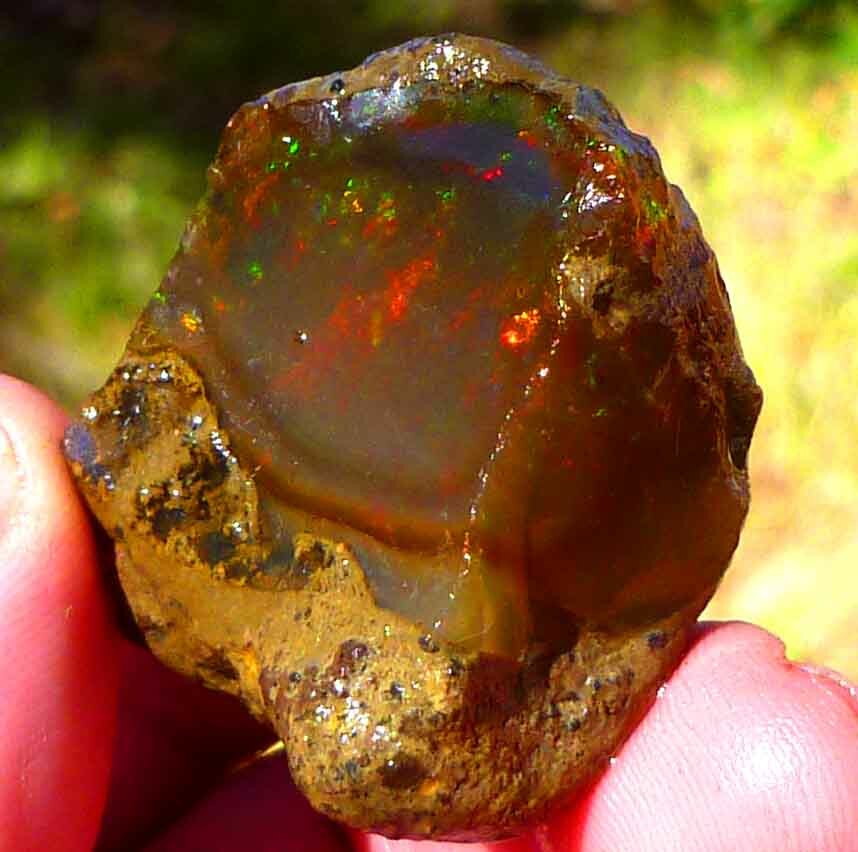 Chocolate Welo Ethiopia Precious Opal 289.4 carats Ethiopian