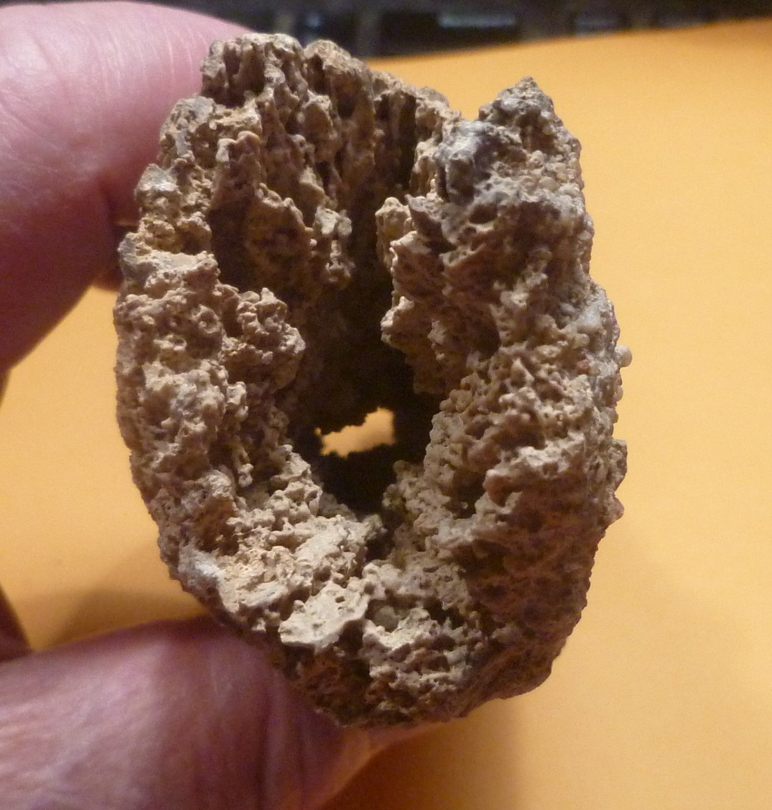 7.25" Fulgurite lightning fused sand ALABAMA Fossil Lightning Museum Piece