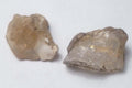 2 Virgin Valley Opal Petrified Wood Specimens Nevada