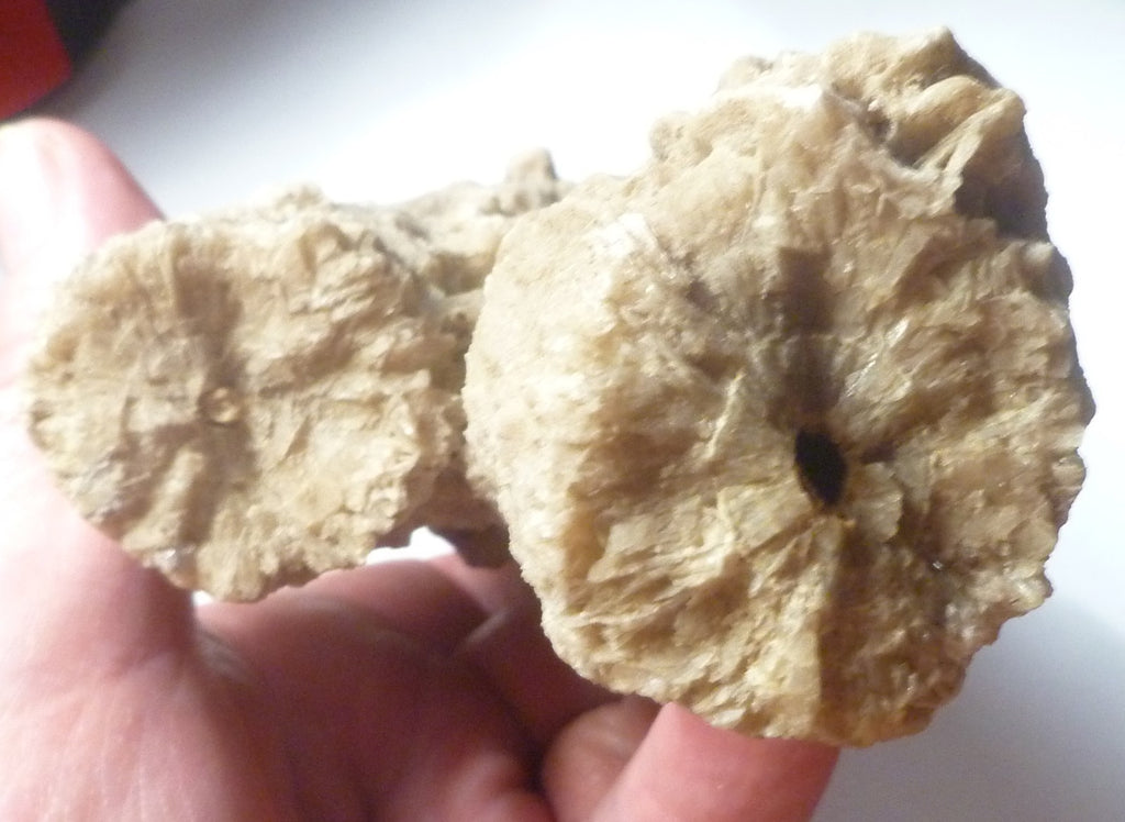 15.7oz Calcite Crystals Stalactite / Stalagmite Formation 6 1/4"x3"x2"