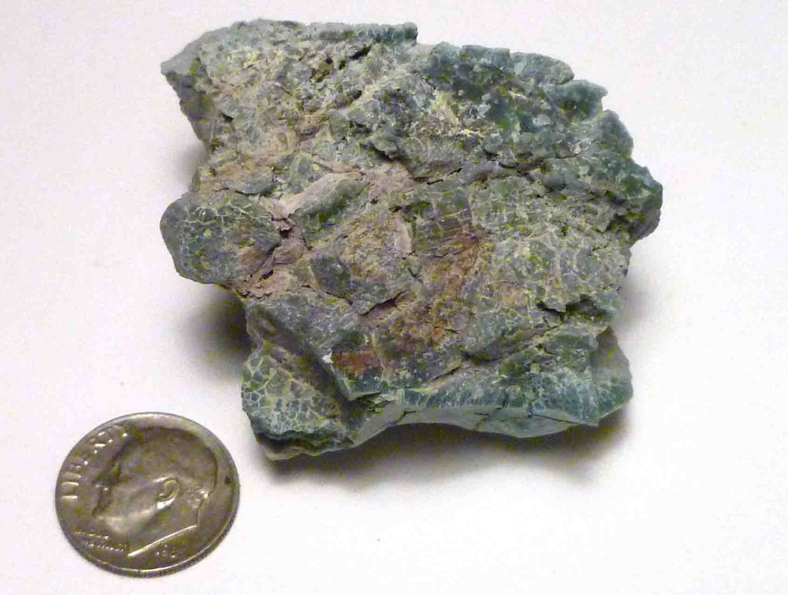 CHROMIUM! Extremely RARE Mint GREEN Petrified Wood Log ARIZONA 74.1