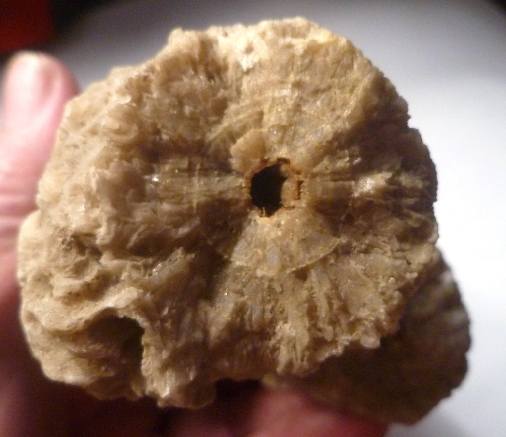 15.7oz Calcite Crystals Stalactite / Stalagmite Formation 6 1/4"x3"x2"