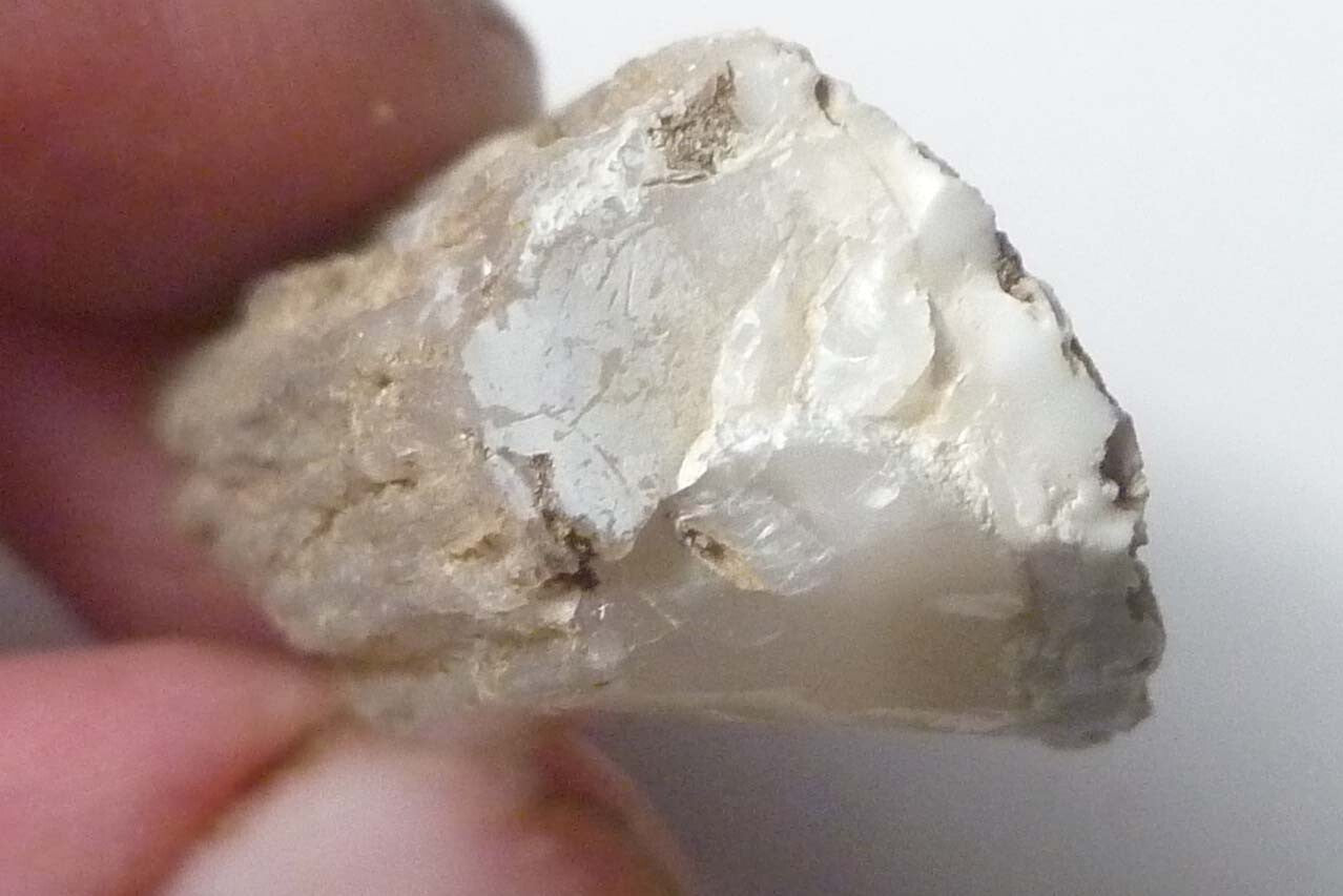 Awesome!  Virgin Valley WHITE Opal Petrified Wood Log Nevada 40 cts