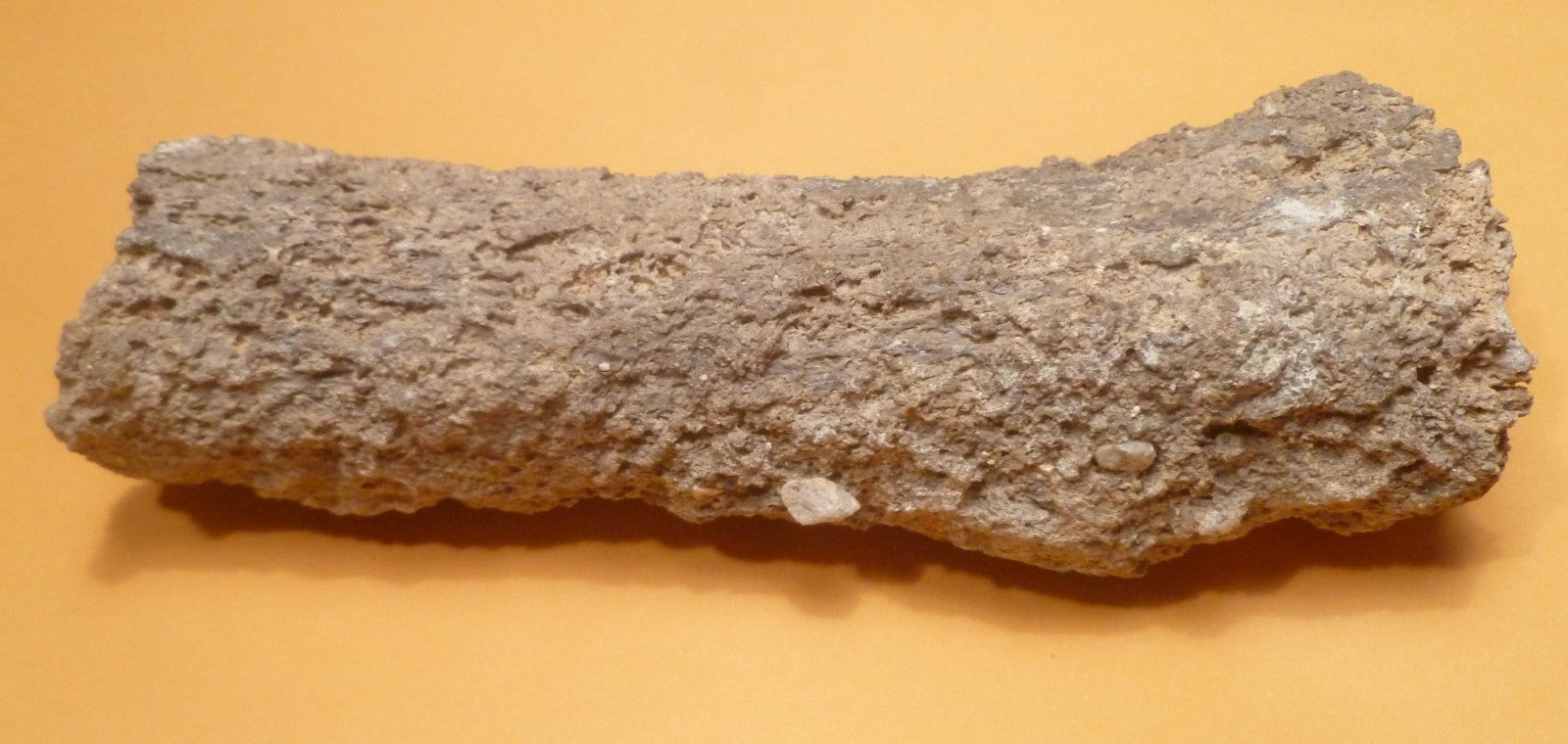 7.25" Fulgurite lightning fused sand ALABAMA Fossil Lightning Museum Piece