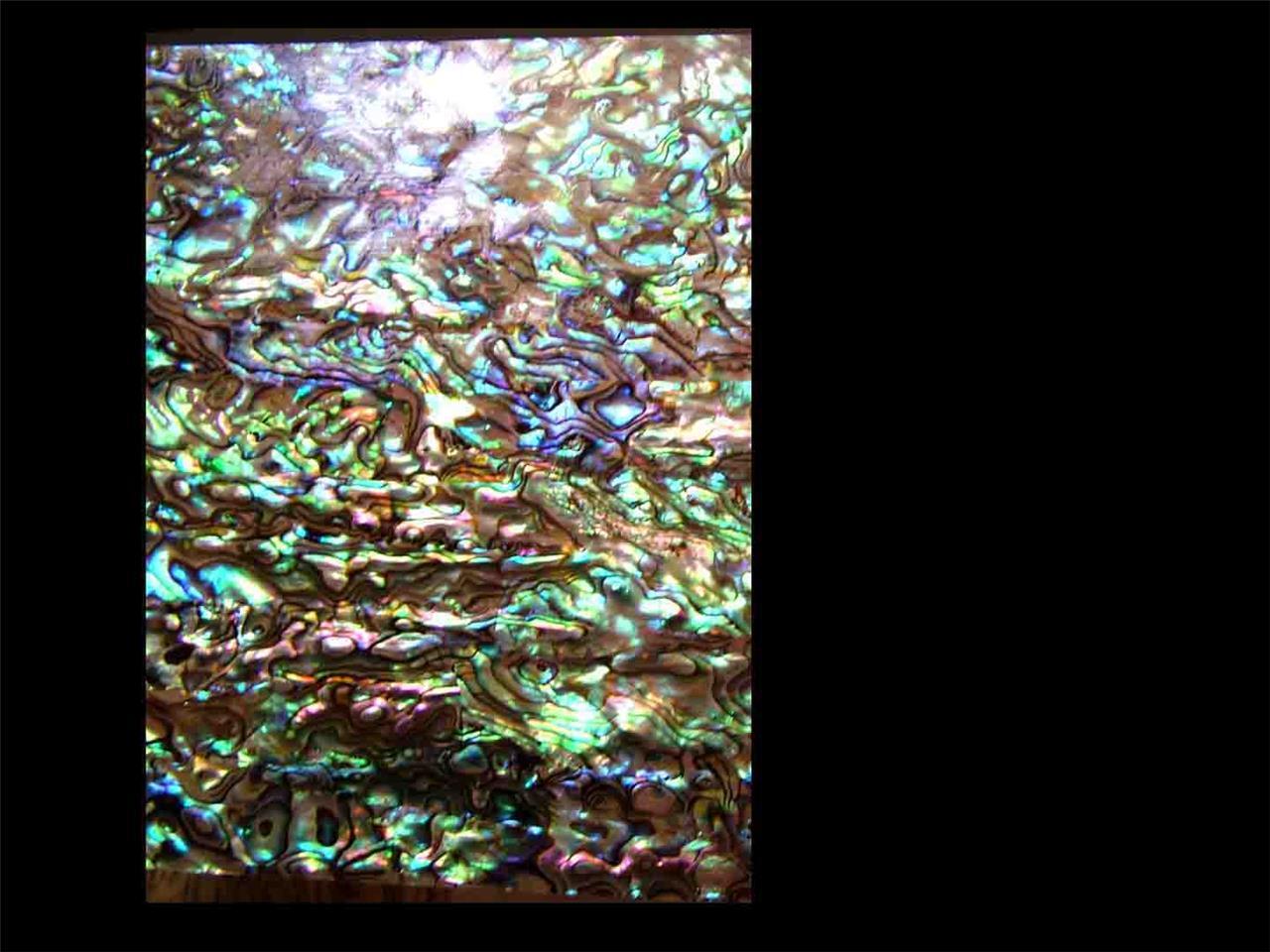 Paua Shell INLAY OVERLAY Luthier Scrapbooking Die Cut Crafts Lures Metal Working
