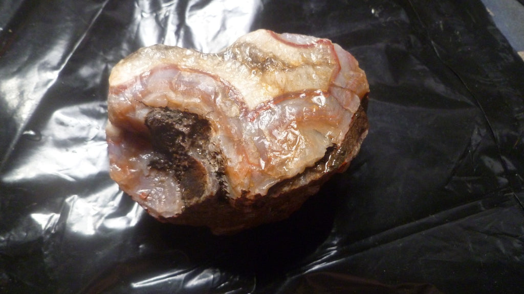 Baker Ranch Thunderegg Banded Agate Crystal Geode 485g Lapidary Rough Uncut