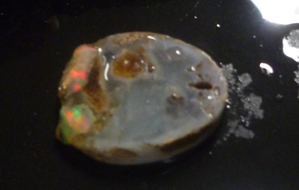 A+ Virgin Valley Precious Opal LOG SLICE Petrified Wood Nevada 20.7 carats!