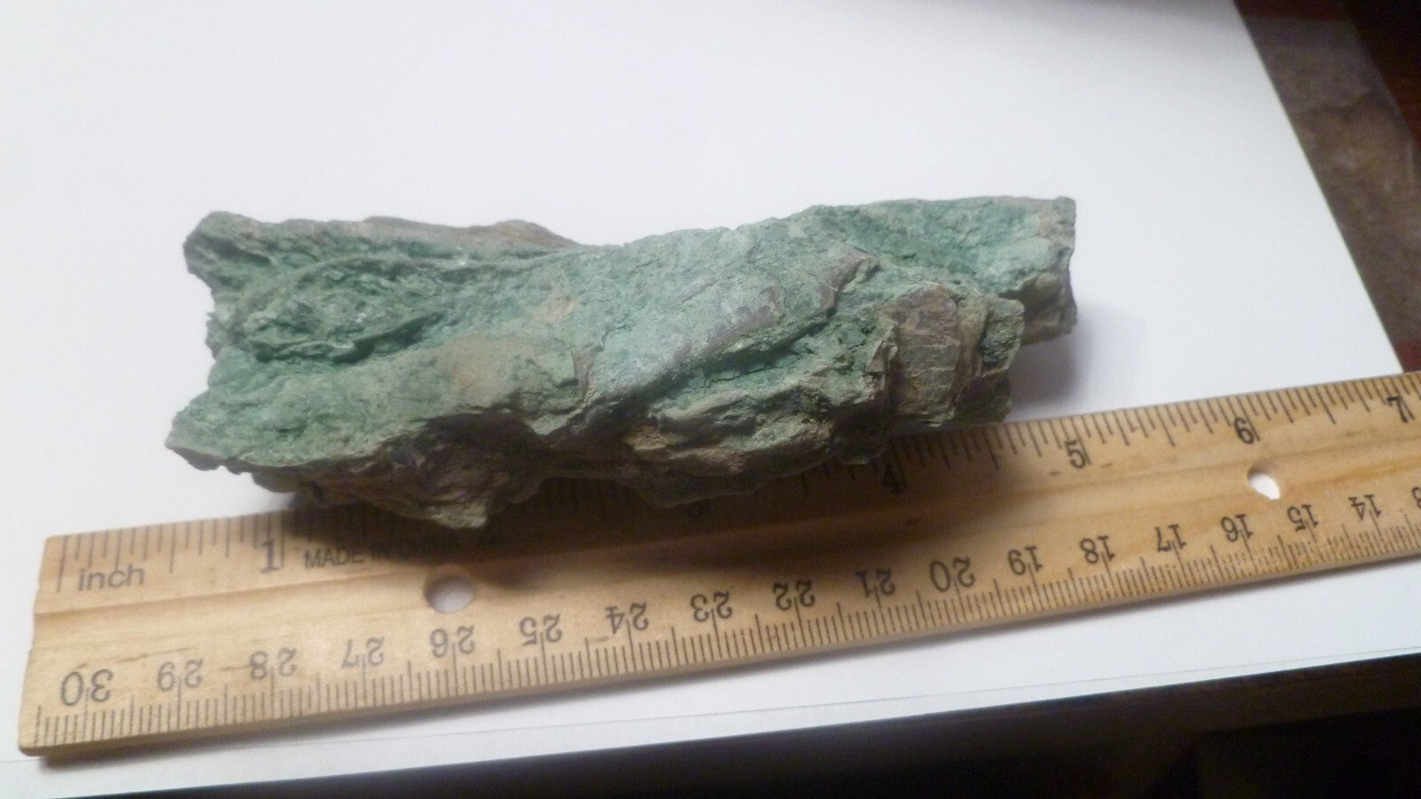 4.5" CHROMIUM! Museum Quality RARE GREEN Petrified Wood Log ARIZONA