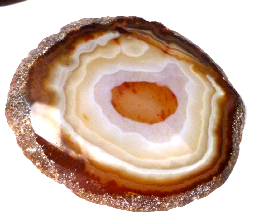 RED! Carnelian Banded Agate Polished Slab Great Colors 3.5"