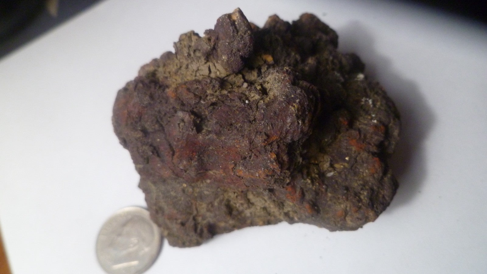 140g Fecal Fossil Dinosaur Coprolite Dung Poop Fossilized Specimen GAG GIFT!
