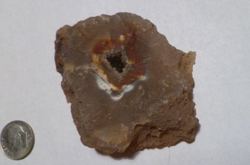 Large Half Malawi Agate Half Nodule Malawi 224 grams