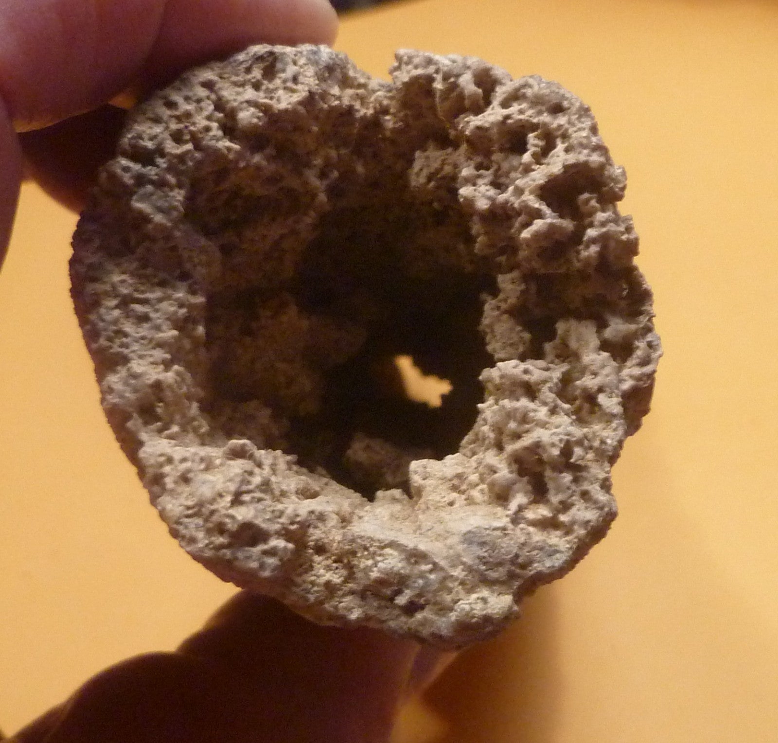 7.25" Fulgurite lightning fused sand ALABAMA Fossil Lightning Museum Piece