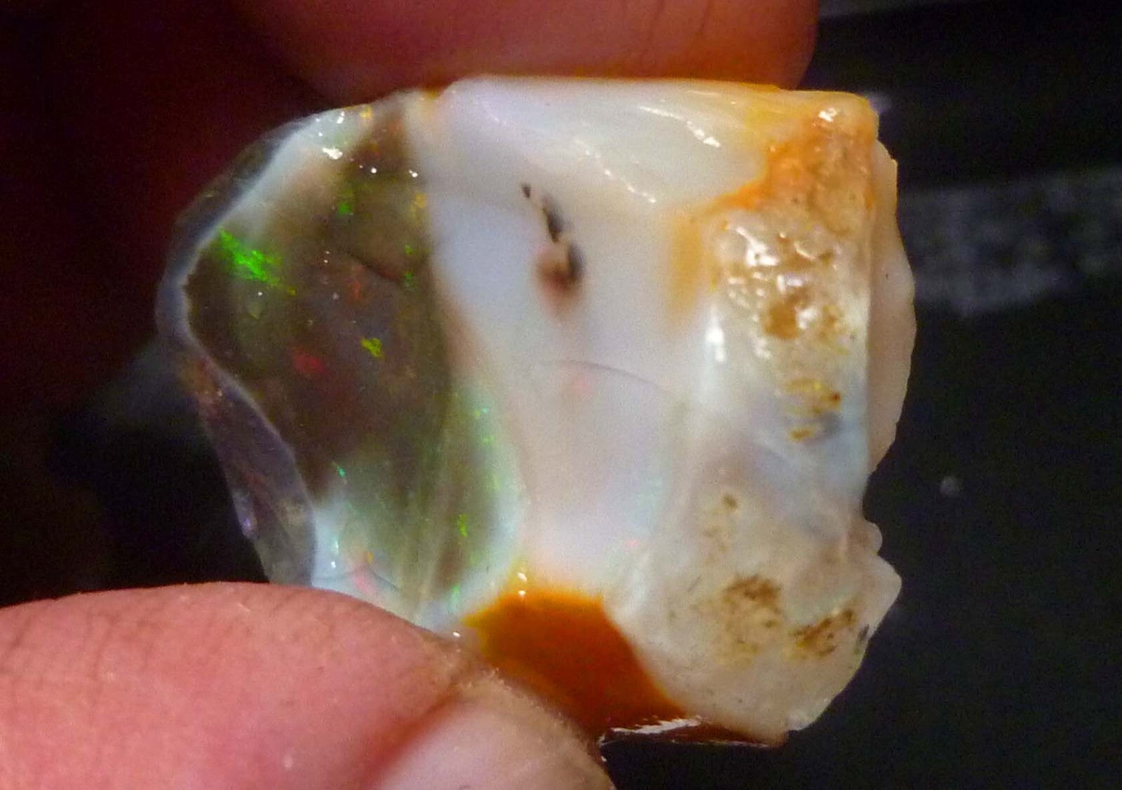 Virgin Valley Black Precious Opal Petrified Wood Nevada 41.2cts!