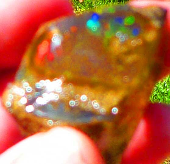 Chocolate Welo Ethiopia Precious Opal 289.4 carats Ethiopian