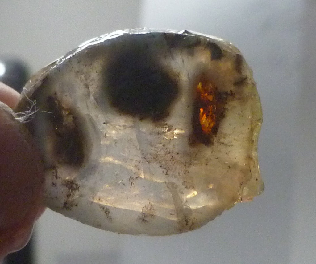 A+ Virgin Valley Precious Opal LOG SLICE Petrified Wood Nevada 20.7 carats!