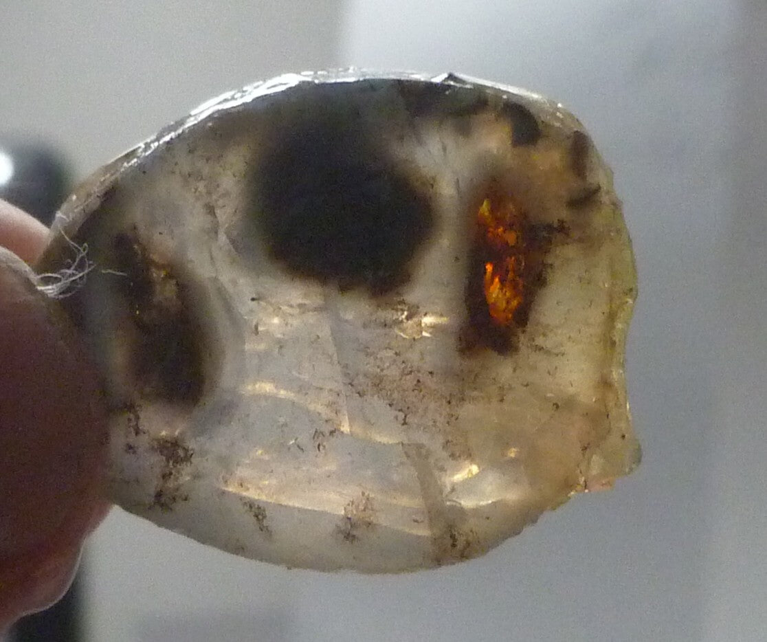 A+ Virgin Valley Precious Opal LOG SLICE Petrified Wood Nevada 20.7 carats!