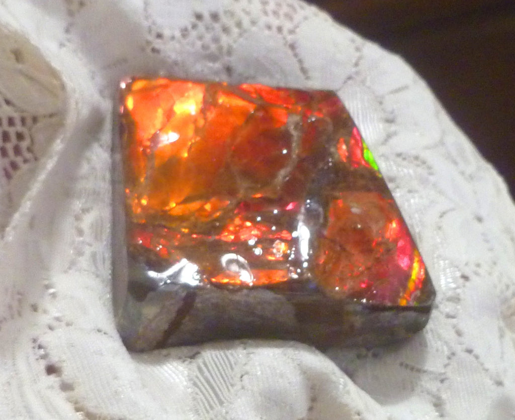 52x52x19mm  RED AMMOLITE  Color change gemstone Canada Ammonite