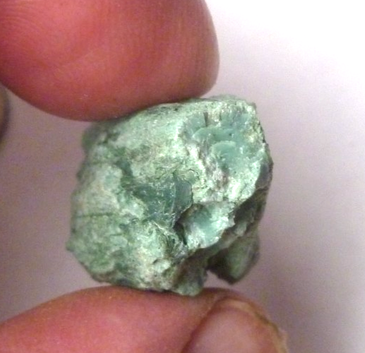 CHROMIUM! Mint GREEN Petrified Wood Log ARIZONA 37.5 cts 24mm