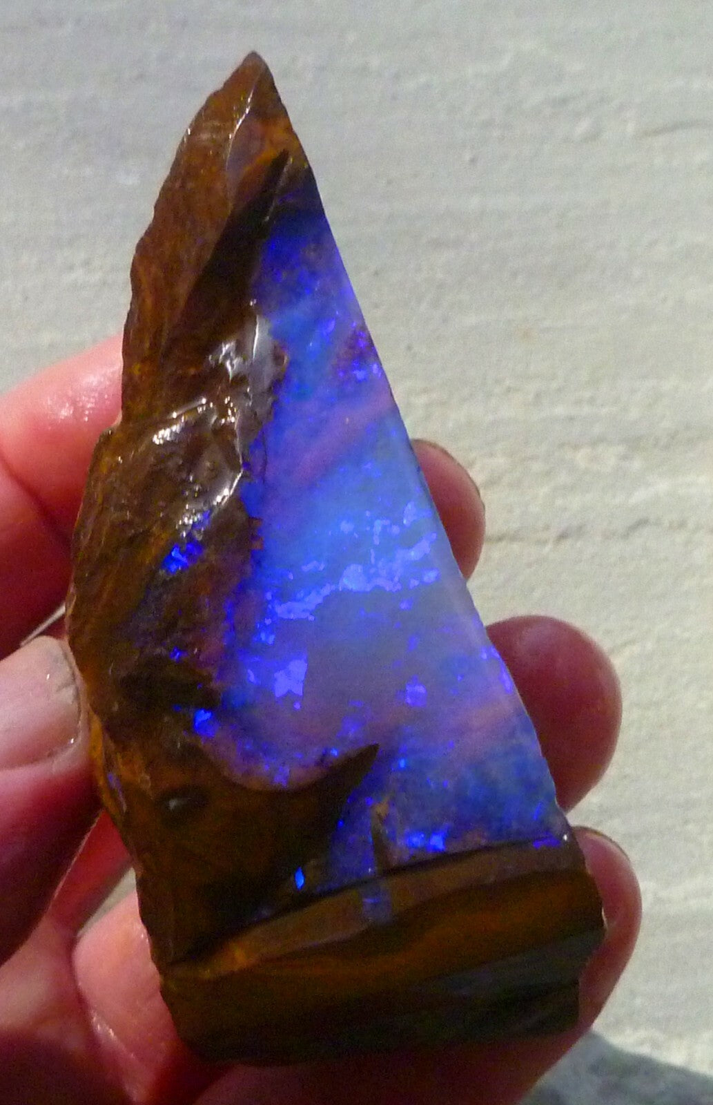 Boulder Opal FIRE & Blue Precious Rough Specimen Australian 700cts