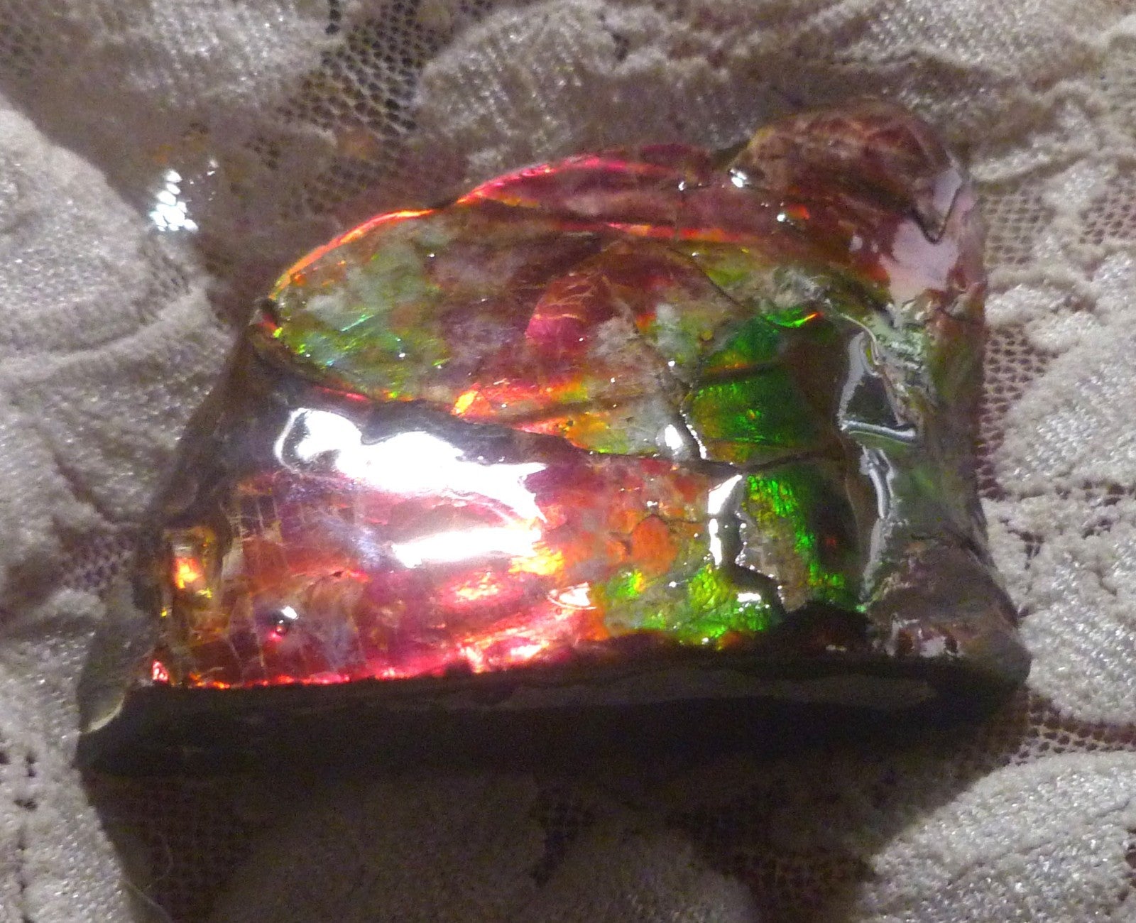 AMMOLITE Multi Colos Gemstone Amazing 51x39x17mm