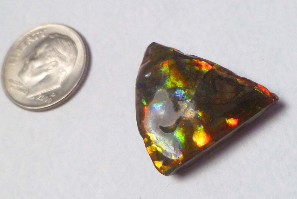 16ctsMulti Colors AMMOLITE GEM! Gemstone Amazing Colors! 23x23mm