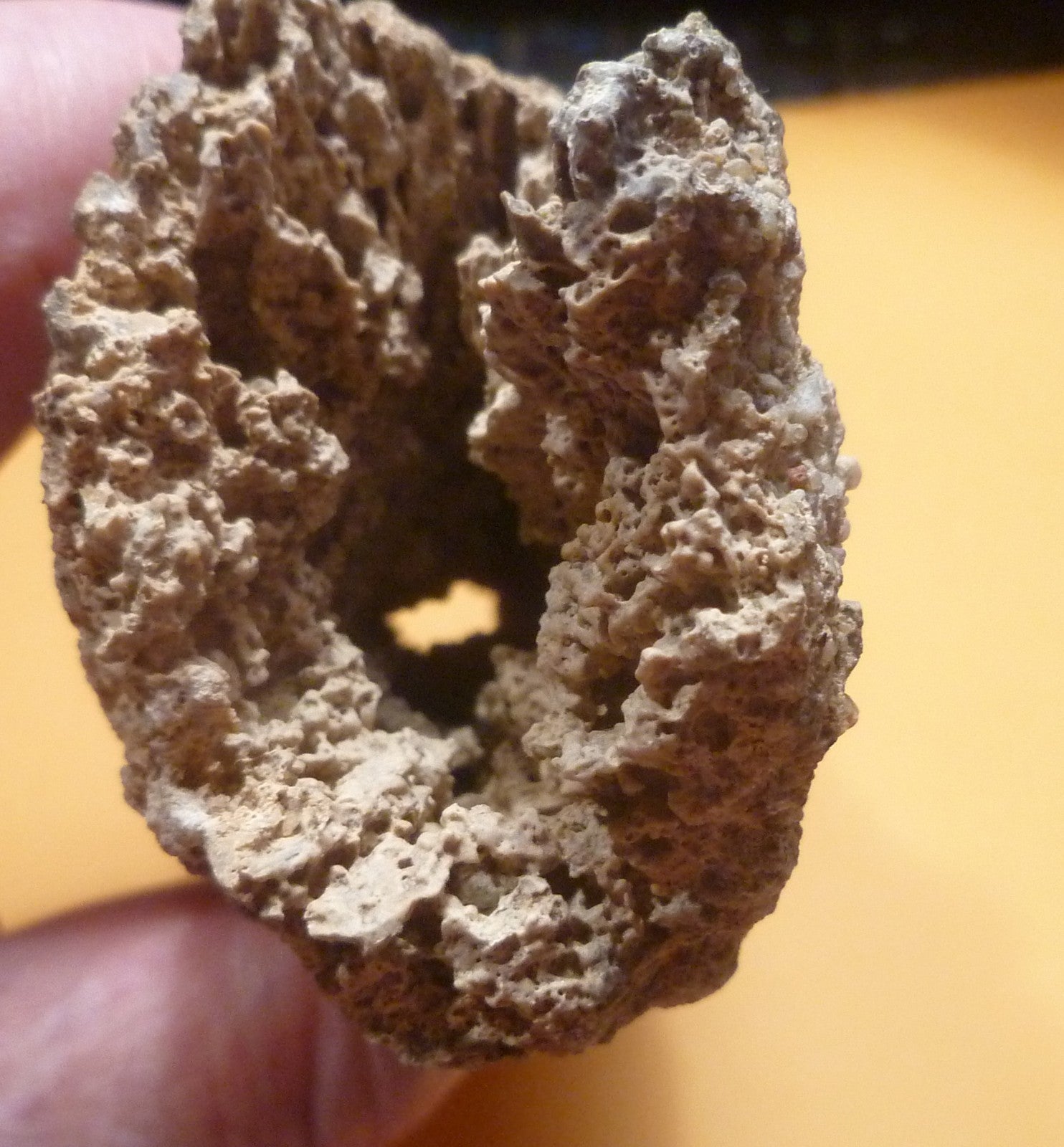 7.25" Fulgurite lightning fused sand ALABAMA Fossil Lightning Museum Piece