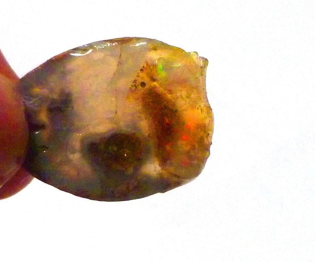 A+ Virgin Valley Precious Opal LOG SLICE Petrified Wood Nevada 20.7 carats!
