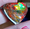 Ammolite Gem Stone 36x28x5mm Color Change Cabochon