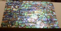 Big 5.5" x 9.5" Awesome Blue Purple Paua INLAY OVERLAY Luthier Scrapbooking DIY