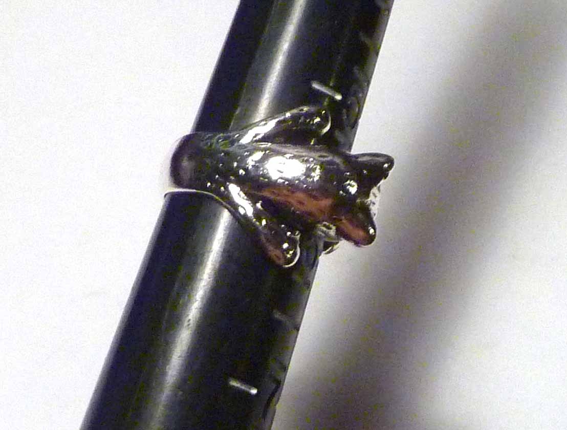 CUTE! Kitty Animal Cat Ring Adjustable Sz 4 to 9 Wrap Around Ring Kitten 