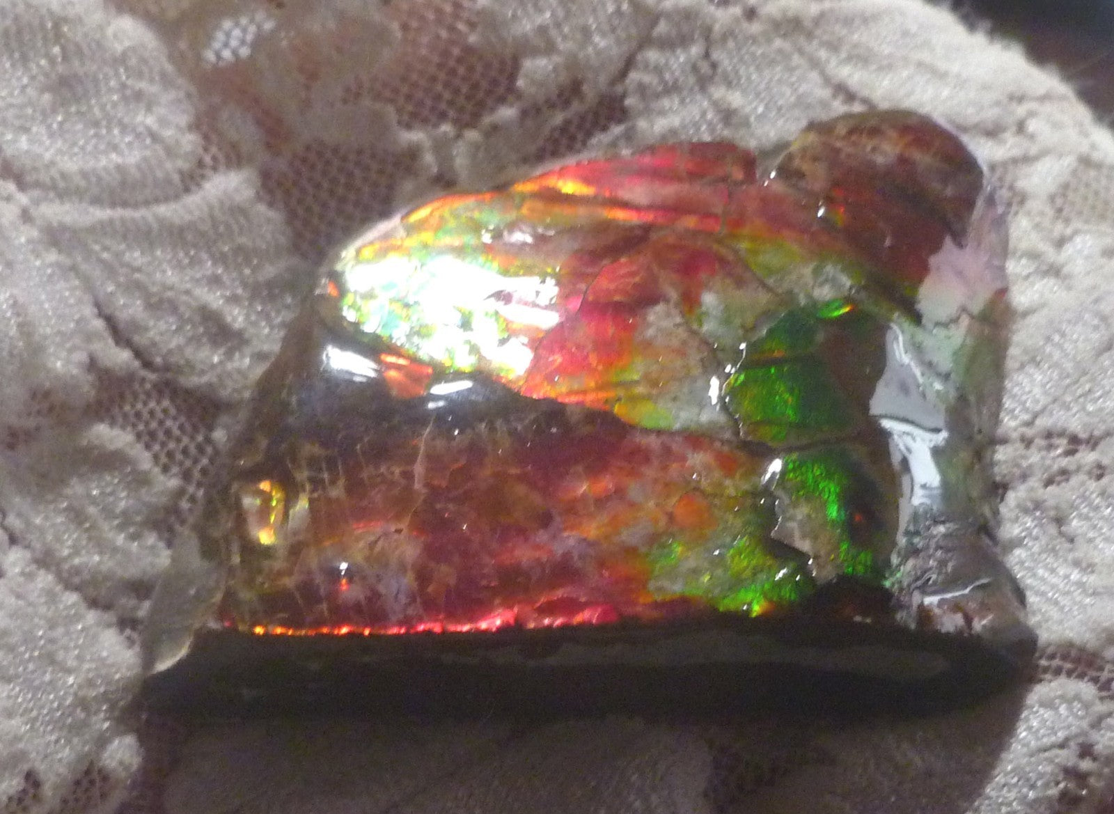 AMMOLITE Multi Colos Gemstone Amazing 51x39x17mm
