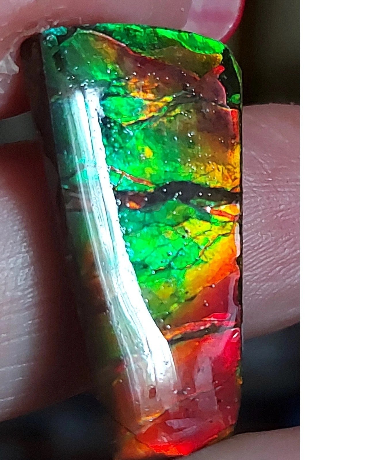 Ammolite Gem Stone 29x15x9mm Color Change Cabochon