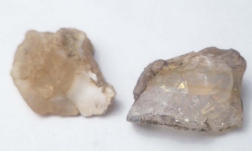 2 Virgin Valley Opal Petrified Wood Specimens Nevada