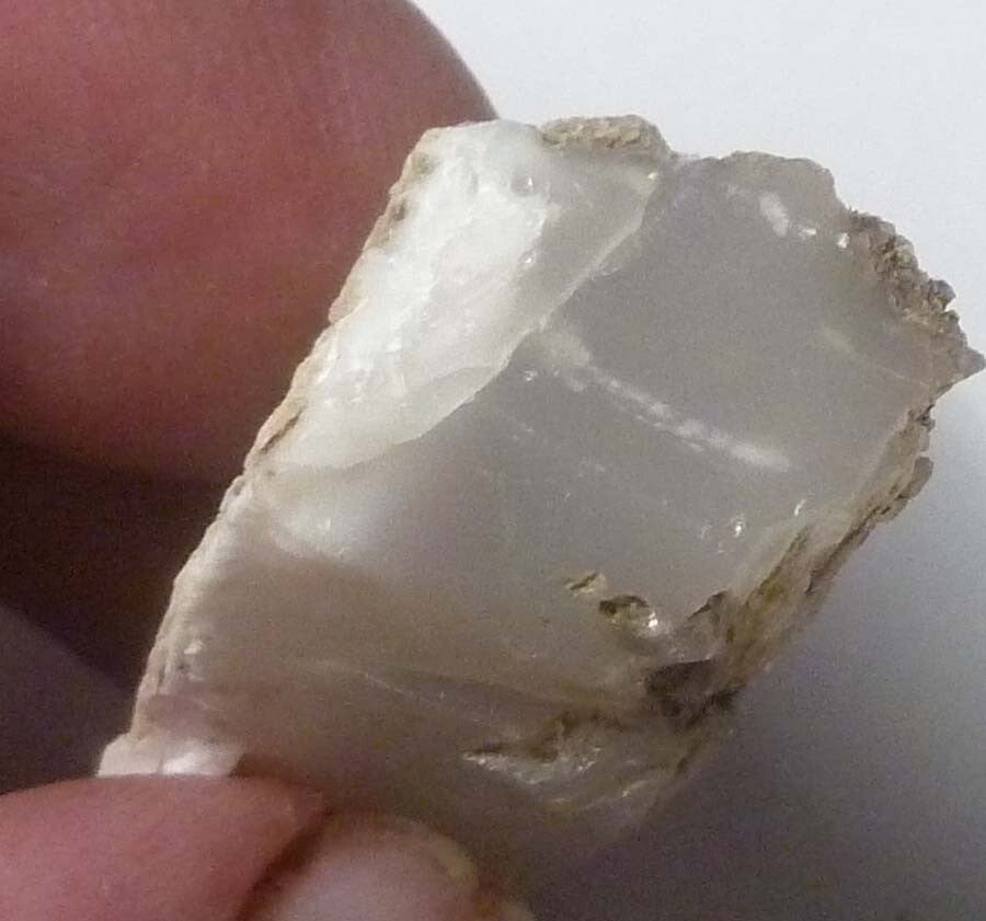 Awesome!  Virgin Valley WHITE Opal Petrified Wood Log Nevada 40 cts