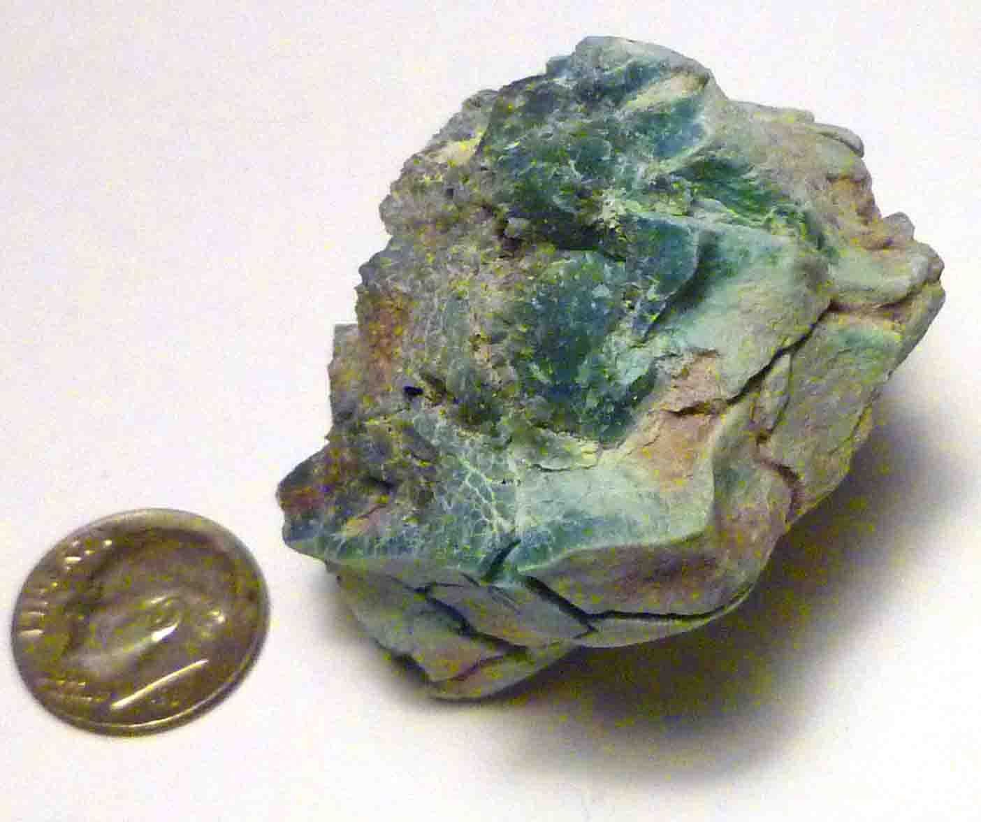 CHROMIUM! Extremely RARE Mint GREEN Petrified Wood Log ARIZONA 74.1