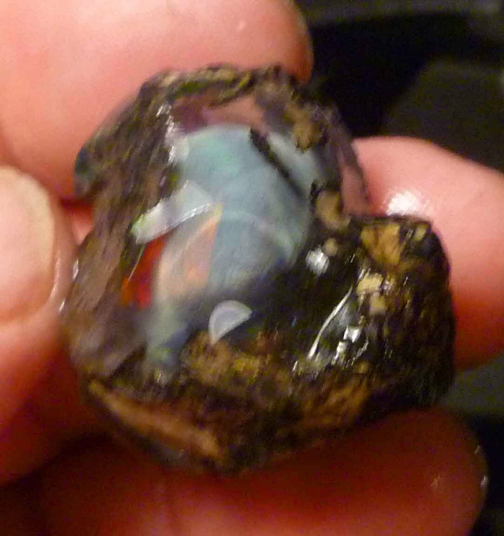 XXX Rare Ghost OPAL Ethiopia Precious Opal Crystal with a Ghost