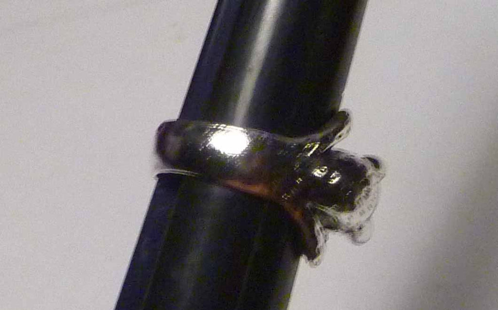CUTE! Kitty Animal Cat Ring Adjustable Sz Wrap Around Ring Kitten