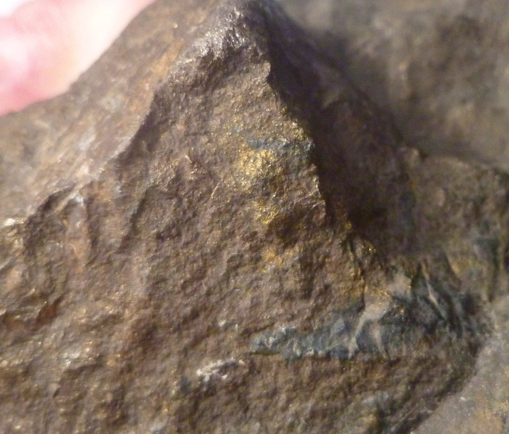 Natural Gold,Silver,Nickel, Pyrite Ore 3lbs 2oz