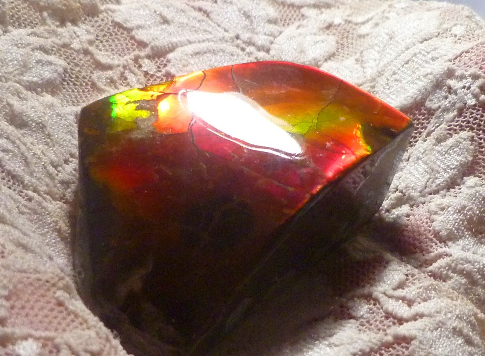Red Ammolite 57x61x19mm AMMOLITE Ammonite Canada
