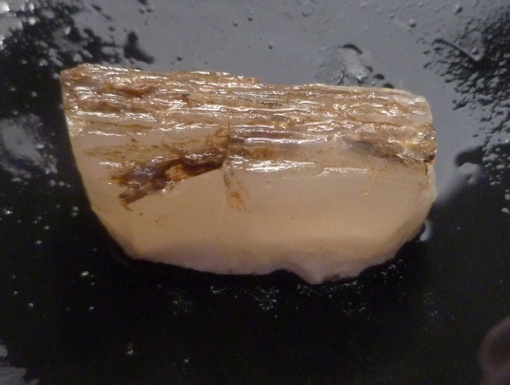 40cts Virgin Valley Opal Petrified Wood Log Specimen Nevada